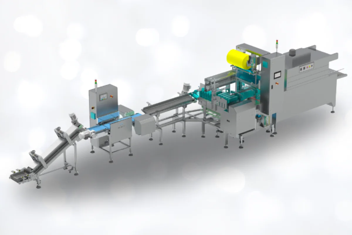 Automatic shrink wrapping machine for pouches